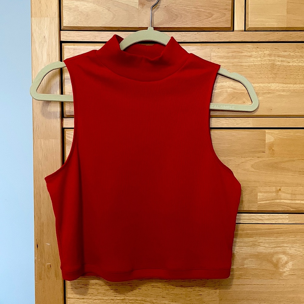 Everlane Red Mock Neck Crop Top